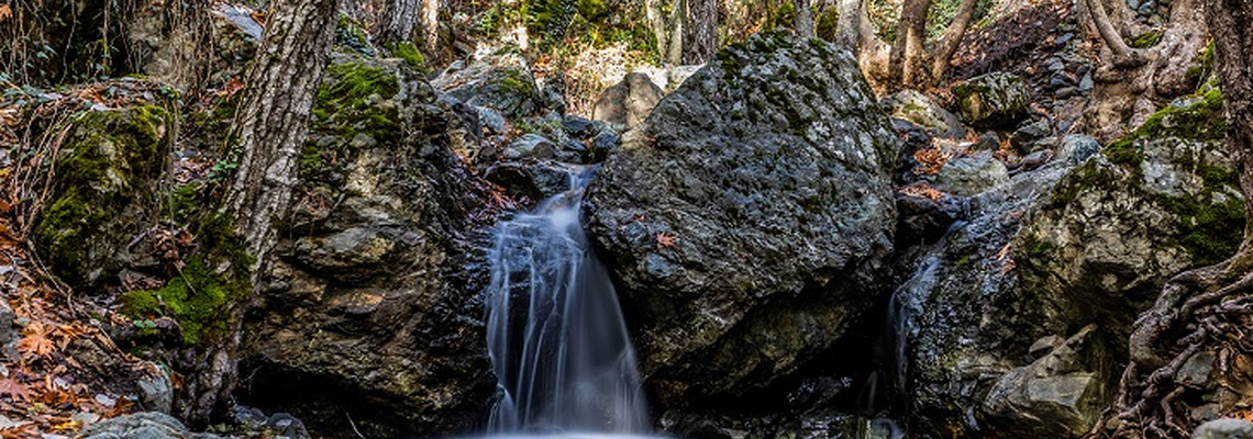 Glorious Troodos Nature Trails: 5 Totally Different Walks to Get Your Heart Racing