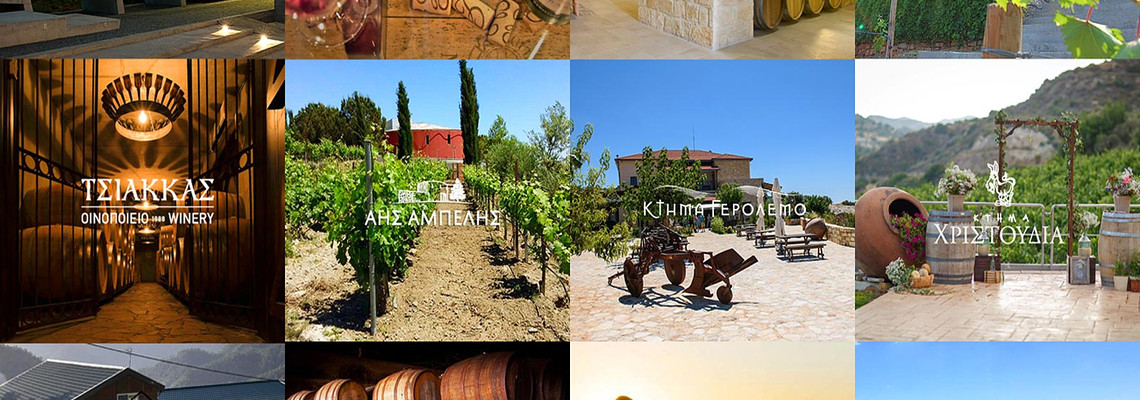 WINERIES EXCURSIONS IN CYPRUS