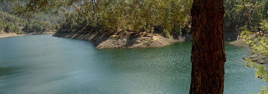 Magnificent Cyprus Dams to Visit for a Great Day Out