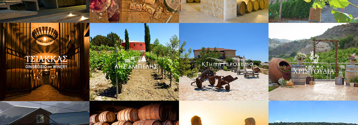 WINE TASTING CYPRUS TOURS